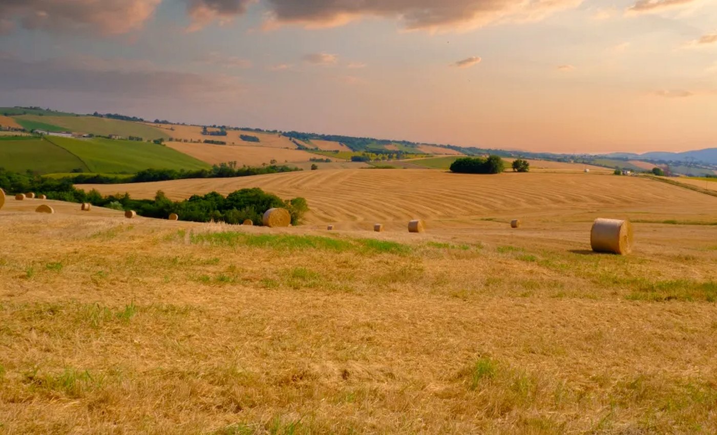 Paesaggio agricolo e campi nelle colline di Cingoli