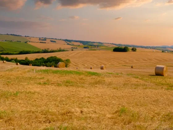 Paesaggio agricolo dopo il raccolto