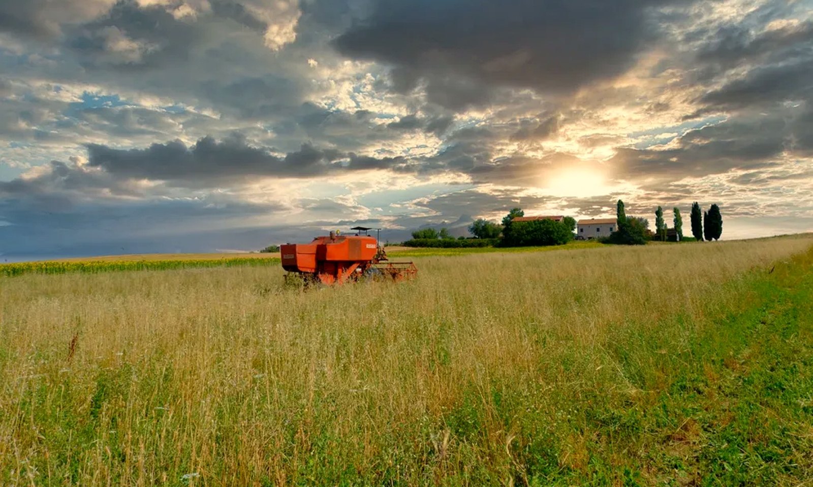 Campi e casale dell’Azienda Agricola Nonno Dario nella campagna di Cingoli